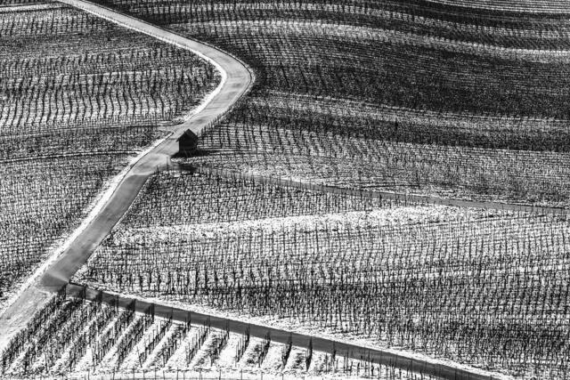 Alle Wege führen zur ........ Heuchelberger Warte