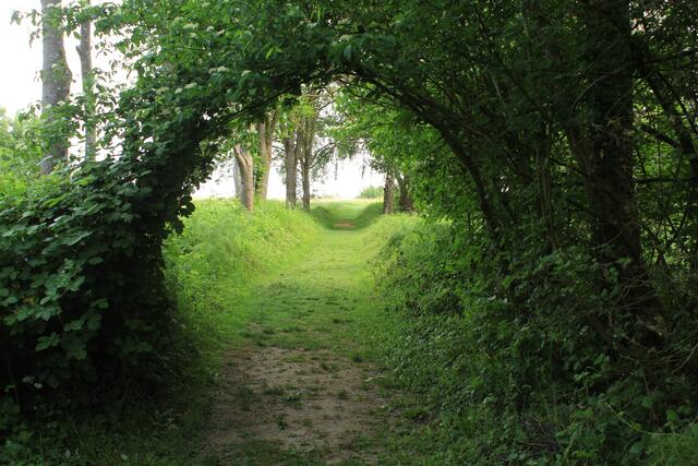 Der Weg in eine andere Welt... Höchstberg auf dem Weg zur Grotte