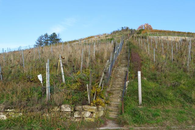Treppe zum Scheuerberg in Neckarsulm