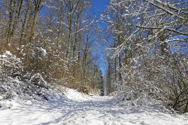 Vorgeschmack auf Winterwege