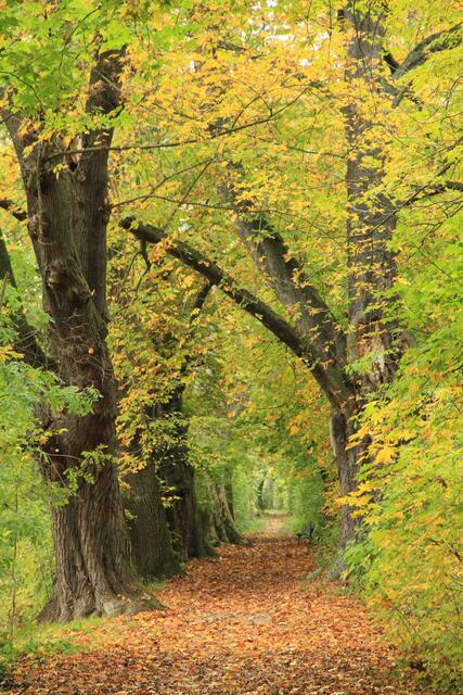 Bad Friedrichshall Salinenwanderweg