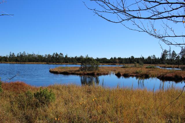 Hochmoorsee – der Wildsee, Deutschlands größter Hochmoorkolk