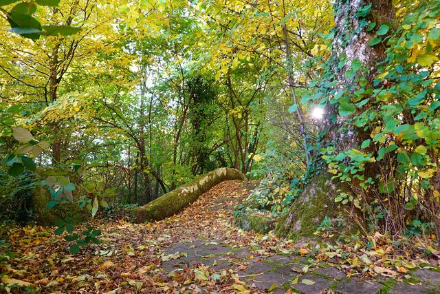 Pfarrbrückle in Untersteinbach