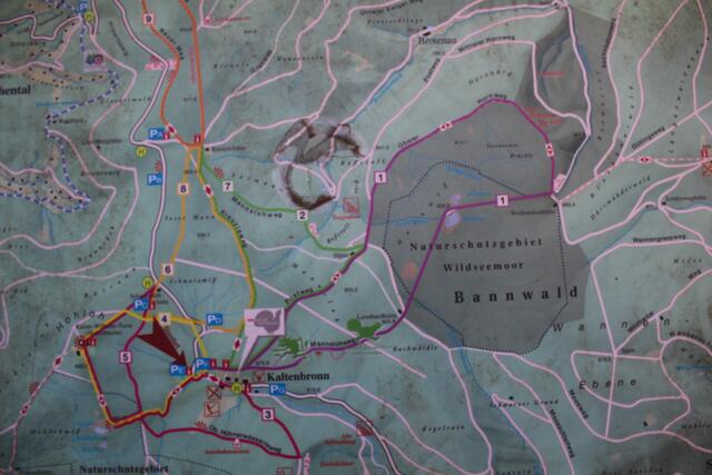 Karte: Wandergebiet Kaltenbronn