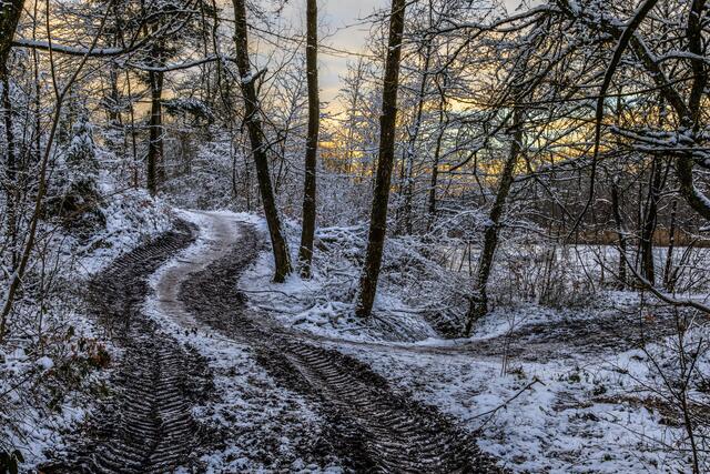 Waldweg in den Löwensteiner Bergen zum ......... ?