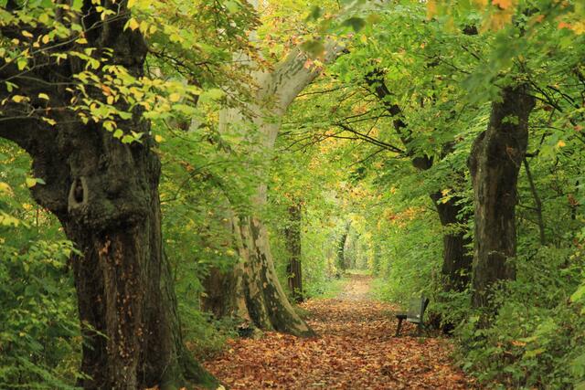 Bad Friedrichshall Salinenweg