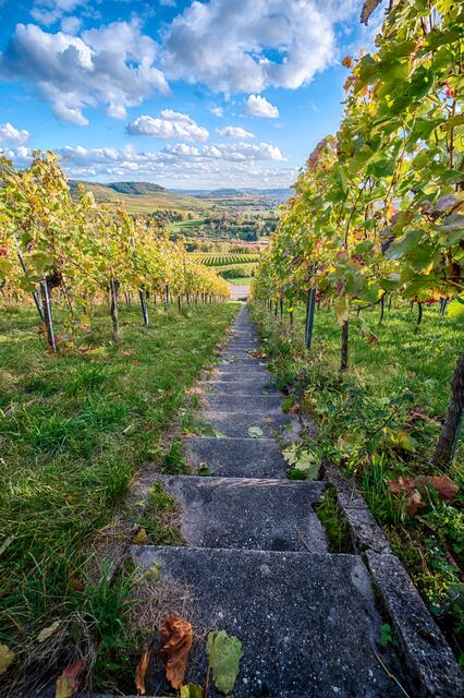 Dieses Foto hat Gerd Tietdke zum Sieg verholfen: Der Heilbronner hat das Gewinnspiel "Der Weg ist das Ziel" gewonnen. | Foto: Gerd Tietdke