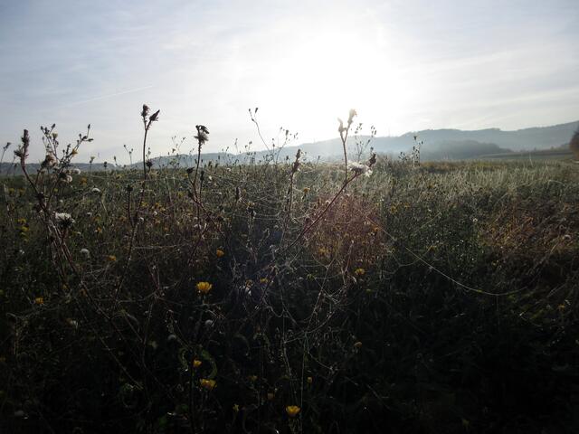 Herbstliche Stimmung