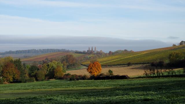 Ein wunderbarer Morgen.