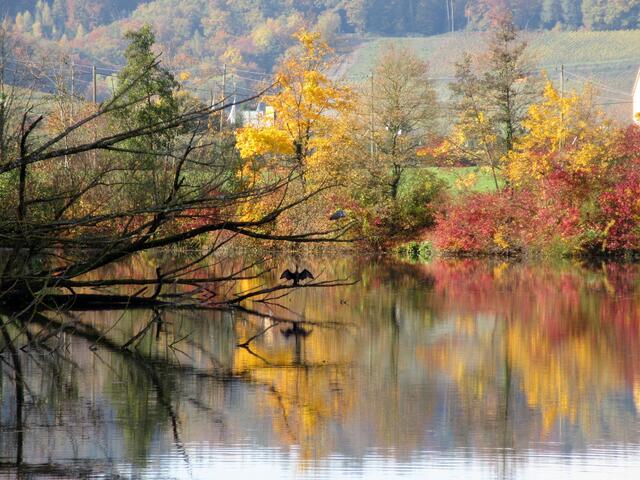 Traumhafte Stimmung am Breitenauer See