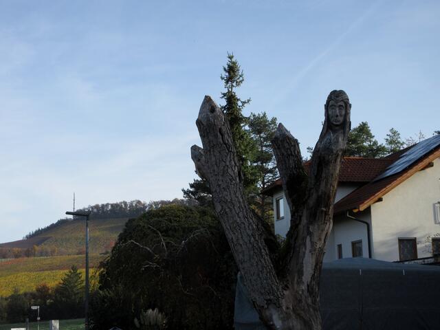 Ein Vorgarten in Weiler, rechts unser Ziel, gut erkennbar am Funkturm.