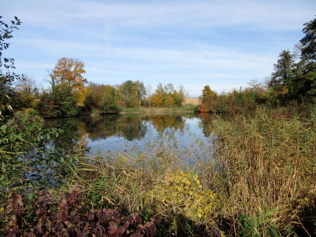 Rückhaltebecken HRB Nonnenbach