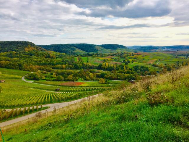 Blick vom Scheuerberg auf die Region