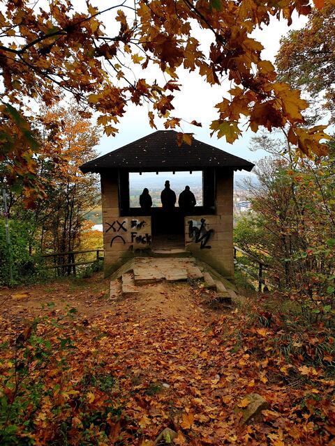 Die Hütte im goldenen Wald.