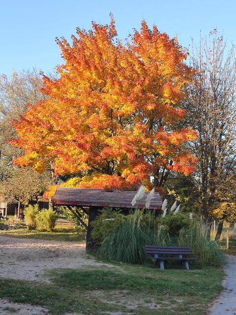 Im Herbst