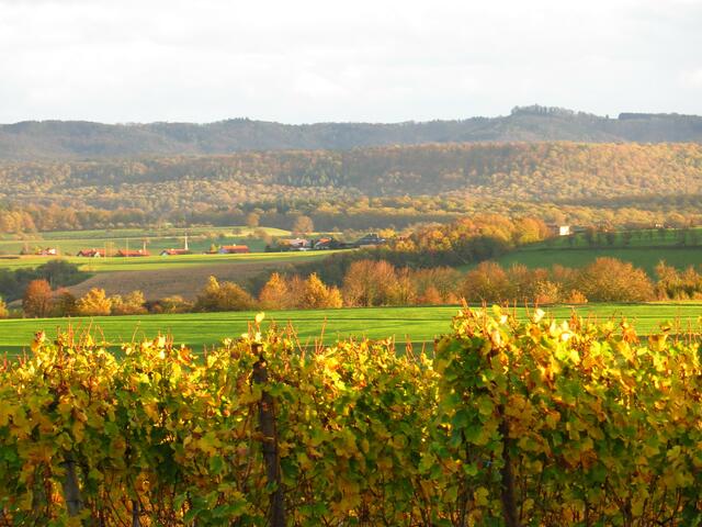 Hohenloher Gold 2