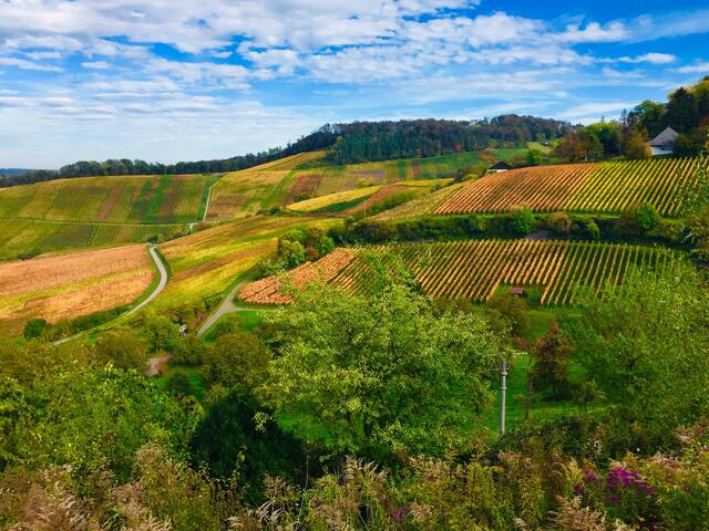 Landschaft unterhalb von Löwenstein