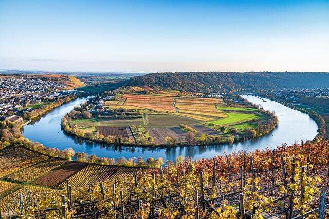 Neckarschleife bei Hessigheim