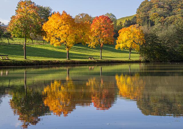 Leuchtende Herbstfarben