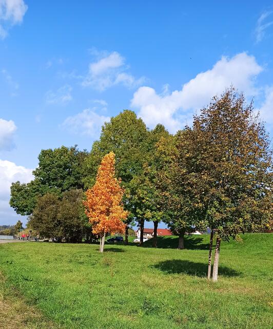 Mittendrin im Herbst