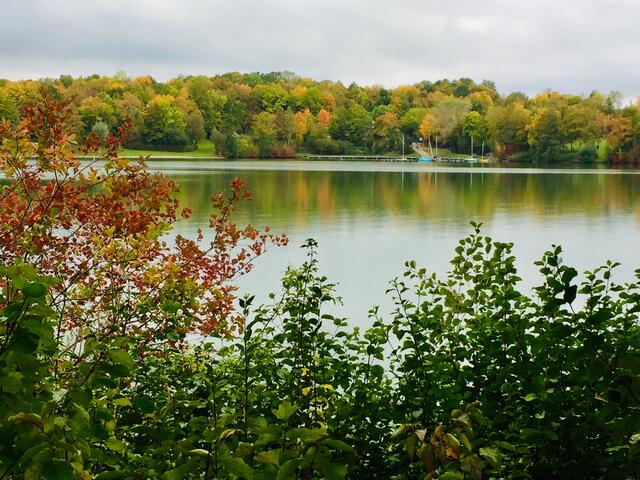 Breitenauer See 2020