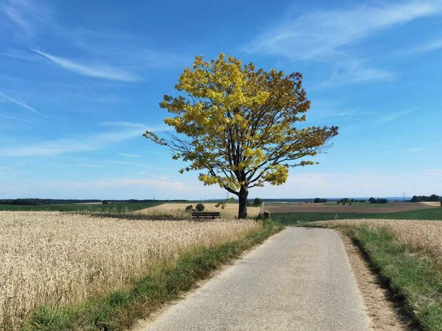 Mitten im Herbst