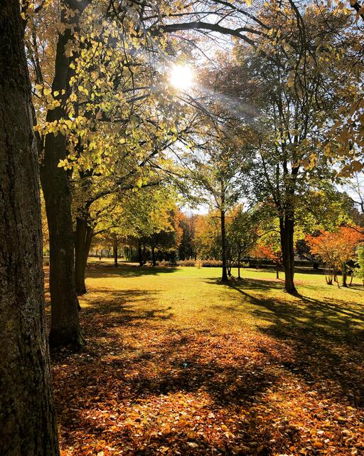 Von der Sonne geküsst: Spätsommer im Herbst