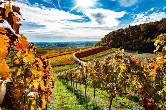 Herbst in seiner schönsten Ausprägung
