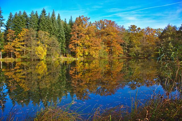 Herbststimmung am Neumühlsee