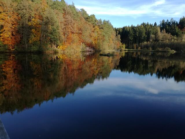 Herbst Reflexionen am Finsterroter See