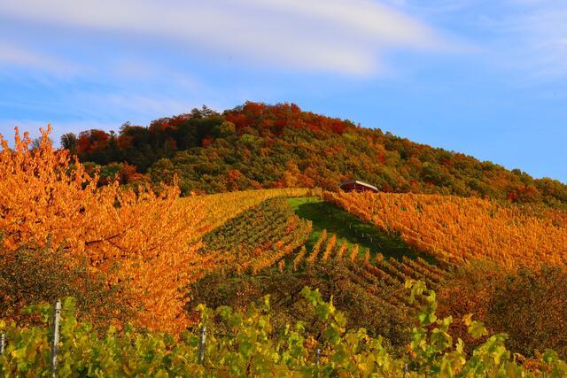 Herbstlicher Ranzenberg