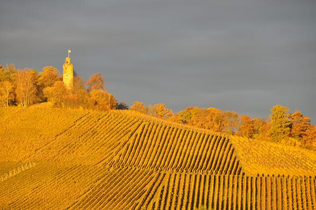 Sonnenaufgang im Herbst / Heuchelbeger Warte