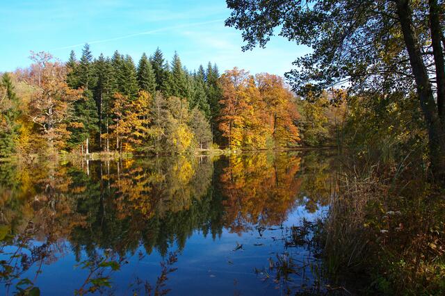 Herbststimmung am Neumühlsee