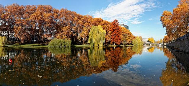 Herbst am Alten Neckar