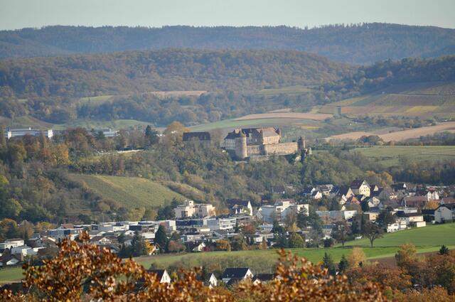 Blick auf Burg Stettenfels | Foto: Daniela Somers
