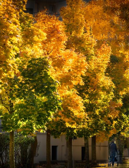Im Herbst die Sonne genießen.