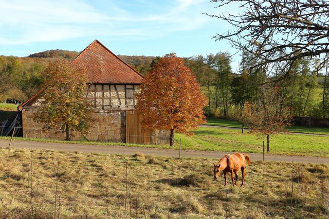 Herbst-Impressionen bei der alten Kelter in Bretzfeld