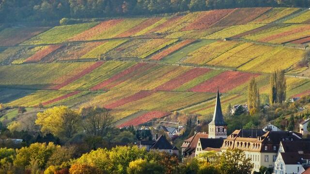 goldener Herbst in Ingelfingen