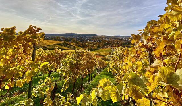 Golden City Heilbronn