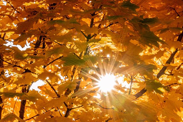 Indian Summer