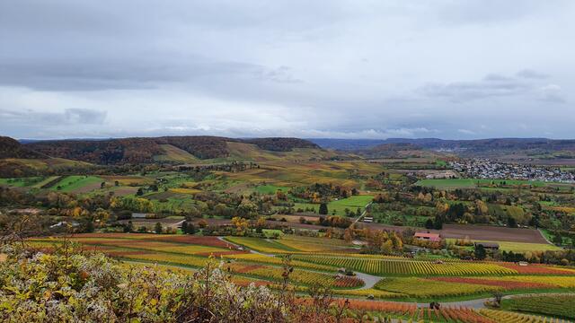 Blick vom Scheuerberg ins Sulmtal