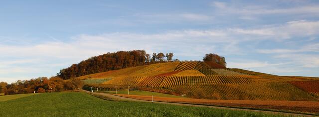 Herbst am Lindelberg