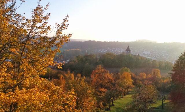 Leuchtende Herbstfarben - Die Burg Möckmühl im Licht der untergehende Sonne - Herbst im Jagsttal