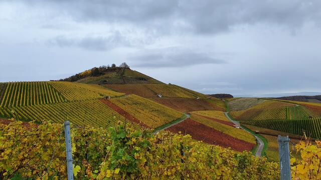Der Scheuerberg - Hsusberg von Neckarsulm