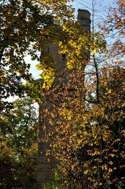 Schweinsbergturm im Herbstkleid | Foto: Daniela Somers