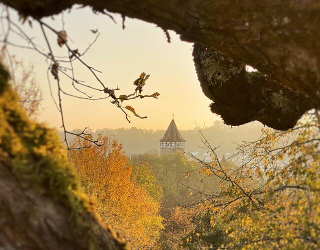 Leuchtende Herbstfarben - Die Burg Möckmühl im Licht der untergehende Sonne - Goldener Oktober im Jagsttal