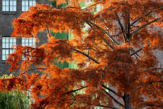 Herbst in der Stadt