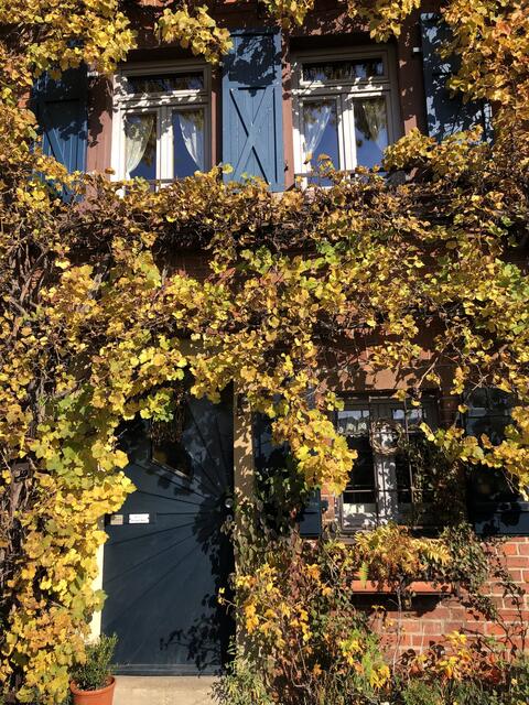 Farbenfrohes Zuhause