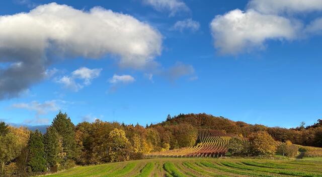 Herbst-Panorama bei Hölzern