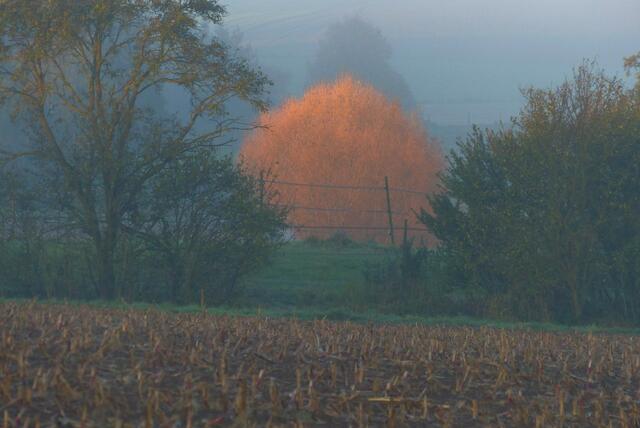 Rotgoldener Oktober